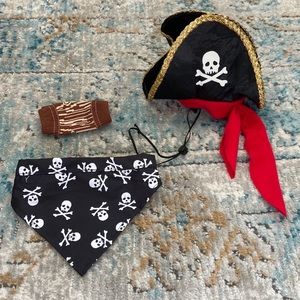 dog pirate costume